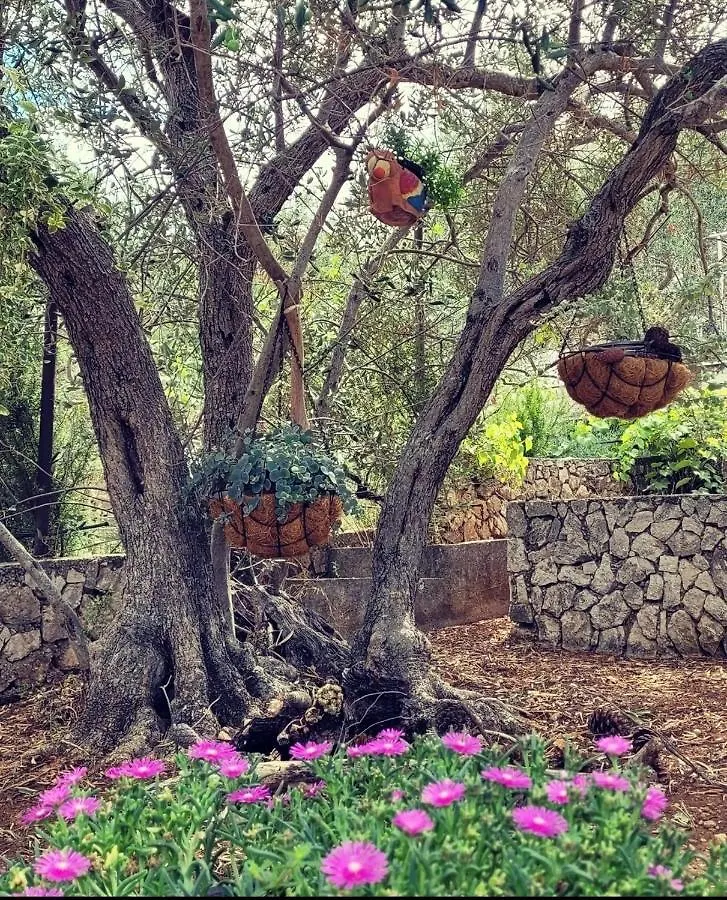 Villa Anka Okrug Gornji Trogir Chorvatsko
